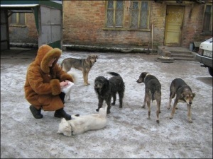 Черкащанка Інна Ган роздає їжу бродячим собакам у дворі колишнього художнього комбінату. Жінка працює викладачем у музичній школі. Вона — волонтер товариства ”Друг” 