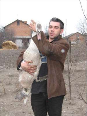 Володимир Мех намагається показати, яка в лебедя довга шия