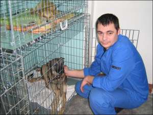 В гостинице для животных при ветеринарной клинике ”Ветта” в Черкассах ветврач Денис Мозговой гладит бродячую собаку. Животному машина переехала лапу. Теперь собаку лечат