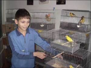 Ростик Федорив помогает дедушке Андрею Бурдашу присматривать за птицами