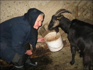 Мария Савко из села Малый Раковец Иршавского района Закарпатской области держит четырех черных коз. Из их молока готовит сыр и возит продавать его в райцентр. Женщина уверена, что молоко от черной козы особенно полезно для здоровья