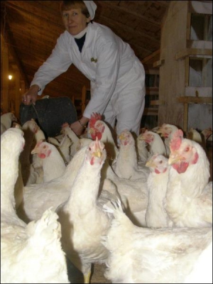 Работница птицефермы в селе Иза Хустского района на Закарпатье София Веселяк забирает кур для взвешивания