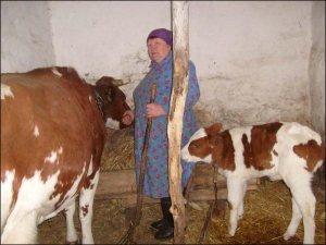 56-річна Катерина Пацьора з райцентру Чорнобай гладить корову Куклу. Поруч з нею — бичок Лютий. Жінка каже, що все життя доглядала корів. Але зараз їх невигідно тримати через низьку ціну на молоко
