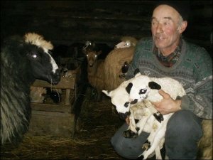 Михайло Бобик из Синевира Межгорского района Закарпатья показывает приплод овец