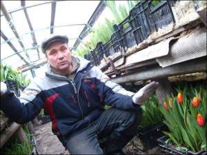 Иван Солодовник из села Мачехи Полтавского района этой зимой в теплицах вырастил на продажу 17 тысяч тюльпанов и около двух тысяч гиацинтов