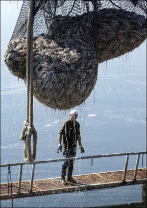 Із вод рибного господарства поблизу грецького селища Меніді дістають мертву рибу. Майже 300 тонн її перебуває на глибині понад 19 метрів