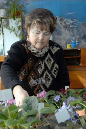 Людмила Балдук показывает свои фиалки на выставке в Николаевском городском Доме природы. Ее домашняя коллекция насчитывает более 600 сортов
