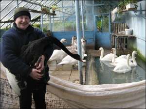 Мирослава Шеплик говорит, что черный лебедь очень тщеславен. Его держат отдельно от шипунов