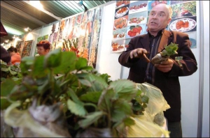 Борис Масленко з Кіровограда на столичну виставку ”Зелений ярмарок-2008” привіз розсаду садових суниць. Він вирощує ці ягоди понад 40 років