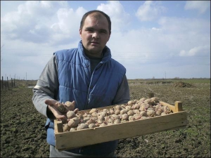 Адальберт Киш-фери на собственном поле. В этом году планирует высадить 1700 таких ящиков раннего картофеля