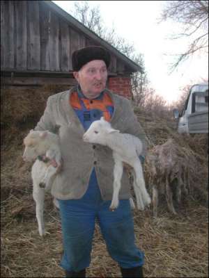 Анатолій Любас із села Ільмівка Городнянського району Чернігівщини розводить овець протягом 13 років, живе з тваринами у хліві. Фото зроблене 13 березня, а 19-го чоловіка затримали за підозрою у зґвалтуванні