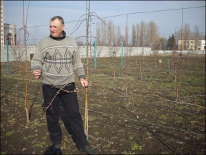 Валентин Цвелих із селища Градизьк Глобинського району показує у своєму саду карликові яблуні. Пояснює, що від вітру дерева слід підв’язувати ”на шпалеру”