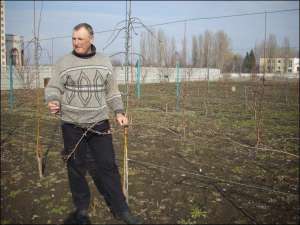 Валентин Цвелих из поселка Градызск Глобинского района показывает в своем саду карликовые яблони. Объясняет, чтобы уберечь от ветра деревья надо  подвязывать ”на шпалеру”