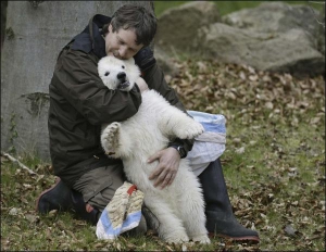 Полярный медвежонок Снежинка играется с сотрудником зоопарка Хорстом Маусснером
