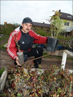 Андрей Левицкий в собственном рассаднике у дома в селе Пирогово близ Винницы. Мужчина показывает розы в контейнере. Их можно сажать в землю на протяжении года даже в жару. Нужно лишь разрезать контейнер