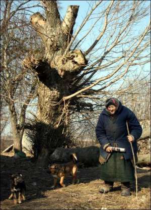 Жительница села Маруся Гороховского района Волыни Мария Рыбай держит в своем доме с десяток собак. Говорит, что с ними веселее ходить по селу