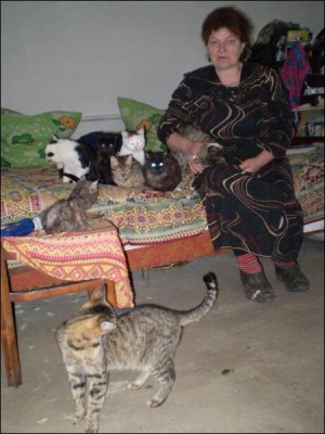 Винничанка Тамара Дорош собрала в своем доме в селе Хомутинцы Калиновского района на Винниччине 30 бродячих котов и 5 собак. На молоко для них ежемесячно тратит 180 гривен