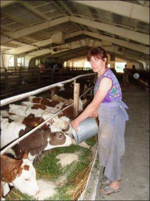 Ухаживающая за телятами Наталия Дмитренко в коровнике хозяйства ”Силикат-1” поит телят. Женщина сама обслуживает 250 животных