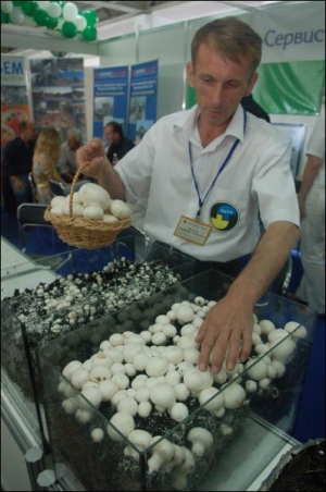 На выставке-ярмарке ”Агро 2008”в Национальном экспоцентре Украины по ул. Глушкова, 1 руководитель предприятия ”Квіти-Сервіс” Владимир Микулин объясняет, как выращивать шампиньоны. При соответствующей температуре и влажности первые грибы появятся через 16–