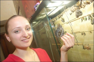 Підприємниця Ася Закуркіна показує тропічного південноамериканського каліґо. Метелик із розмахом крил 18 сантиметрів коштує 200 гривень. Комах тримають в офісі на столичній вулиці Старокиївській
