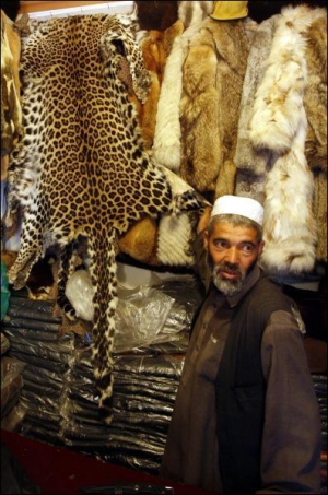Торговец Карем из афганской столицы Кабул демонстрирует в своей лавке мех снежного леопарда, невзирая на то что продавать его в стране запрещено