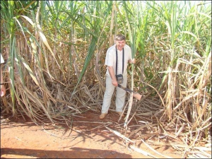 Фермер Валерій Дрига з Дрижиної Греблі Кобеляцького району на плантації цукрової тростини біля Ріо-де-Жанейро в Бразилії. Туди чоловік поїхав переймати досвід