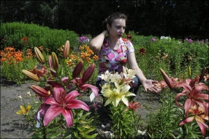 9 липня 2008 року. Працівник Ботанічного саду Лариса Кикоть розповідає, що цього року лілії виросли нижчими, ніж зазвичай, через малосніжну зиму