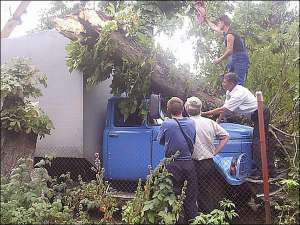 Трухлявый каштан в Козятине упал на грузовик предприятия ”Капуста”.  Водитель Александр в это время был в кабине. Он успел вовремя нагнуться