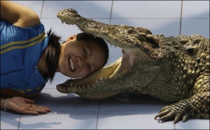 Китайська дресирувальниця демонструє вміння підкоряти крокодилів. Цим та іншими небезпечними трюками Пекінський Парк світу розважатиме іноземних туристів під час Літніх Олімпійських ігор