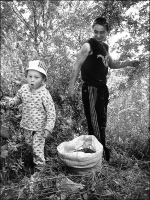 Виктор Якунькин с 3-летним сыном Максимом рвут рябину в лесопосадке возле села Украинка Литинского района. По ягоды проехали велосипедом — 8 километров 