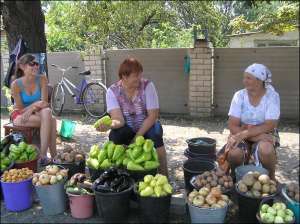 Надежда Крайник (в центре) из села Красное Кобеляцкого района с односельчанами торгует овощами вблизи трассы Днепропетровск–Киев. В этом году женщина планирует заработать 15 тысяч гривен 