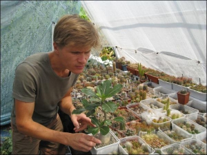 Александр Гавриленко свыше 20 лет выращивает кактусы. За пакетик с семенами может заплатить 5 долларов