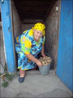 Тамара Риженко із села Набережне на Глобинщині виходить зі вхідного погреба й показує відро картоплі сорту Космос минулорічного врожаю. Бульба добре збереглася, сусідство із буряком — не зашкодило