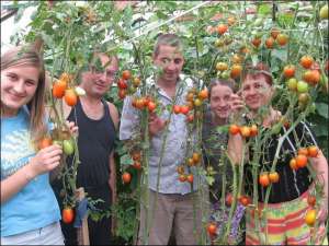Эмма Саранчук (крайняя справа) с (справа налево) дочкой Олесей, сыном Сергеем, мужем Иваном и невесткой Людмилой в теплице с помидорами. Женщина говорит, что урожай из теплицы лучше, чем с огорода