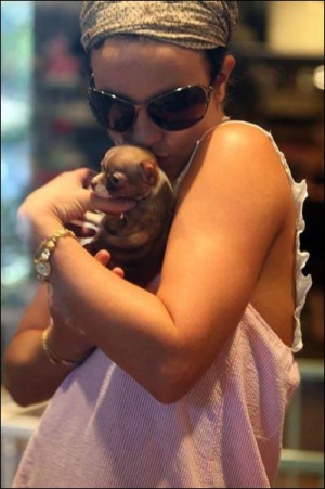 Співачка Брітні Спірс любить найменшу в світі породу собак чихуахуа. Журналісти підрахували, що на догляд за псом Лакі зірка витрачає щороку не менше 12 тисяч доларів
