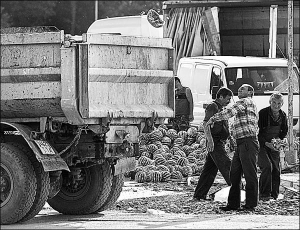 Уборщики закидывают гнилые арбузы на грузовик на продуктовом рынке 