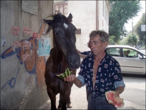 Александр Попович кормит беспризорную лошадь арбузом на улице Русской в Ужгороде