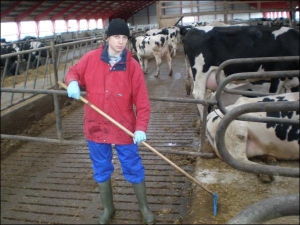 Владимир Семениченко из Кобеляк смотрит в Дании за коровами. Там был на заработках. Поедет туда еще раз