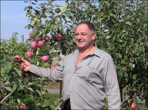 Иван Полищук из села Тальное Черкасской области яблоки срывает вручную, чтобы не повредить плодоножек. Кору деревьев осматривает с лупой, следит, чтобы не было вредителей