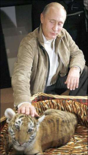 Премьер-министр России Владимир Путин назвал уссурийского тигренка самым оригинальным подарком в своей жизни
