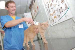 Ветеринар клиники ”Алден-Вет” Виталий Черченко проверяет ручным сканером, вживлен ли чип под кожу двухлетнего кота Маркиза