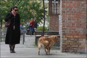 Наталія Степаненко знайшла в понеділок поблизу свого двору на просп. Вернадського єдину безпритульну собаку, яку не вдалося отруїти невідомим. Місцеві звуть його Рижиком, кажуть, він тепер дуже боїться людей