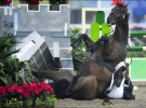 Чех Міхал Міхалік падає з коня під час змагань на Олімпійських іграх
