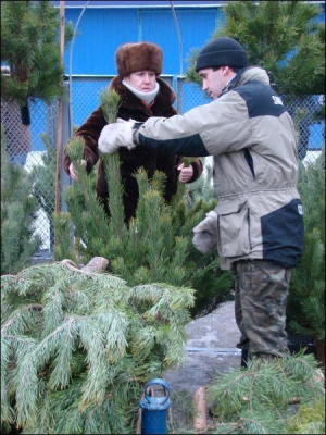 Максим Лещенко торгує соснами біля столичного метро Героїв Дніпра. Деревця продає від 50 гривень