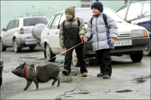 Дети выгуливают по улицам Киева свинью Машу вьетнамской породы. В городах животных держат дома как экзотических