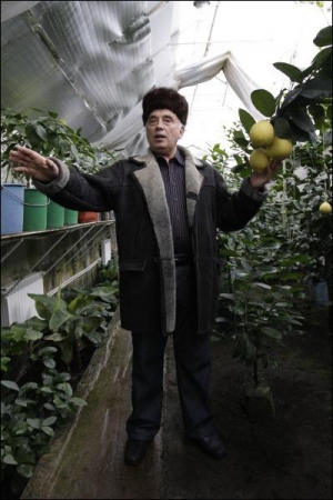Селекционер Анатолий Патий из села Рожны на Киевщине вывел сорт лимона Киевский. Он дает большие плоды. Из-за широких листьев хорошо растет в тени