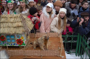 Сурок Мишка из Львовского детского эколого-натуралистического центра 2 февраля проснулся в декоративном домике, который для него сделали дети