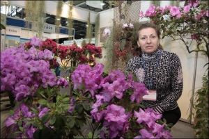 Співробітниця Національного ботанічного саду Інна Низькошапка показує кущик індійської азалії у Києві на виставці квітів ”Фловерс Хортеч”. Такий 10-річний кущ продають за 100 грн