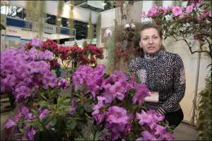 Сотрудница Национального ботанического сада Инна Низкошапка показывает кустик индийской азалии в Киеве на выставке цветов ”Фловерс Хортеч”. Такой 10-летний куст продают за 100 грн