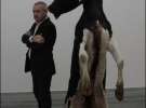 Английский художник Дэмиен Херст возле инсталляции ”Желание денег”. Для работы использовал шерсть, смолу, канат, цепь и кровь
